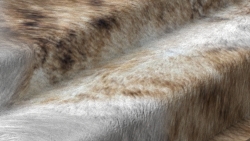 Brown cowhide leather